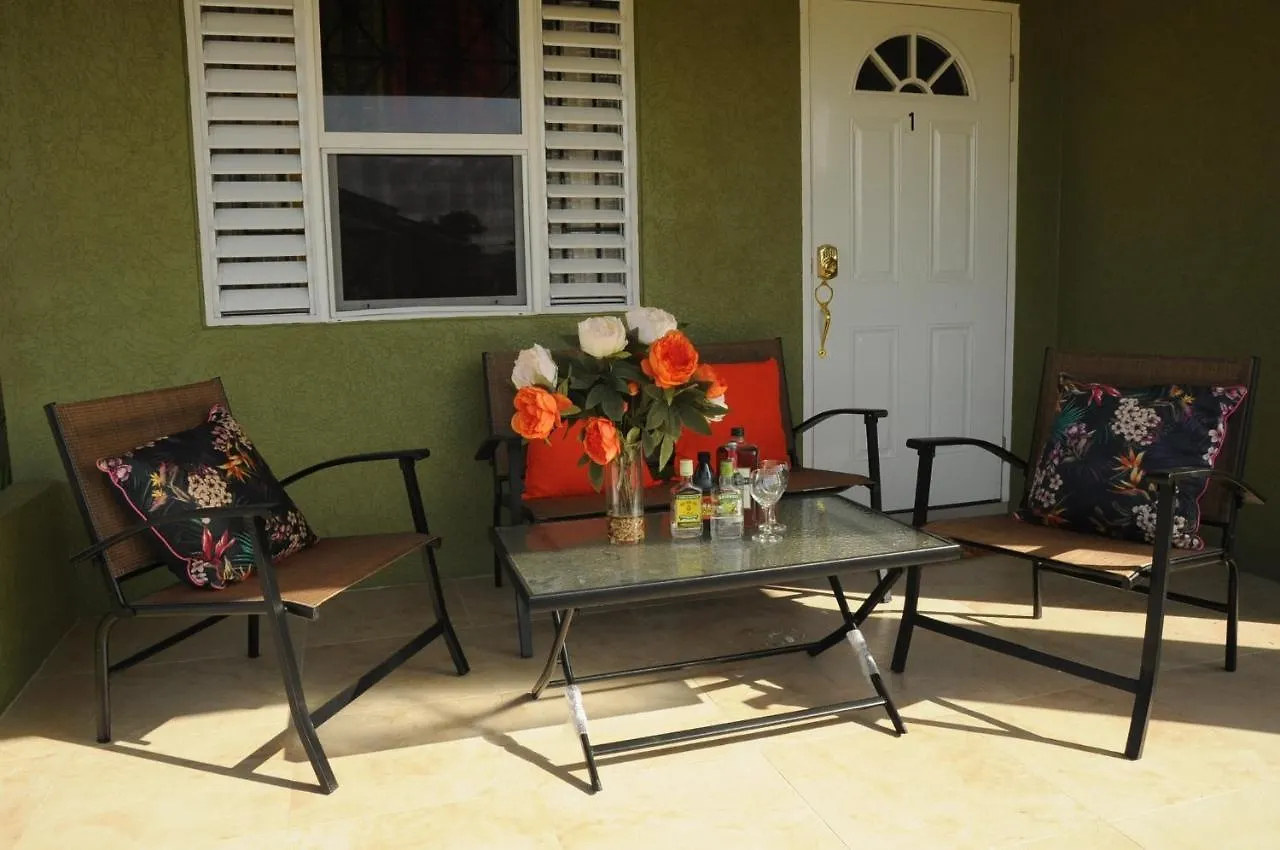 别墅 Ochi Rios Drax Hall 3 Bed Sleeps 7 Exquisitely Fully Furnished Accommodations 奥乔里奥斯