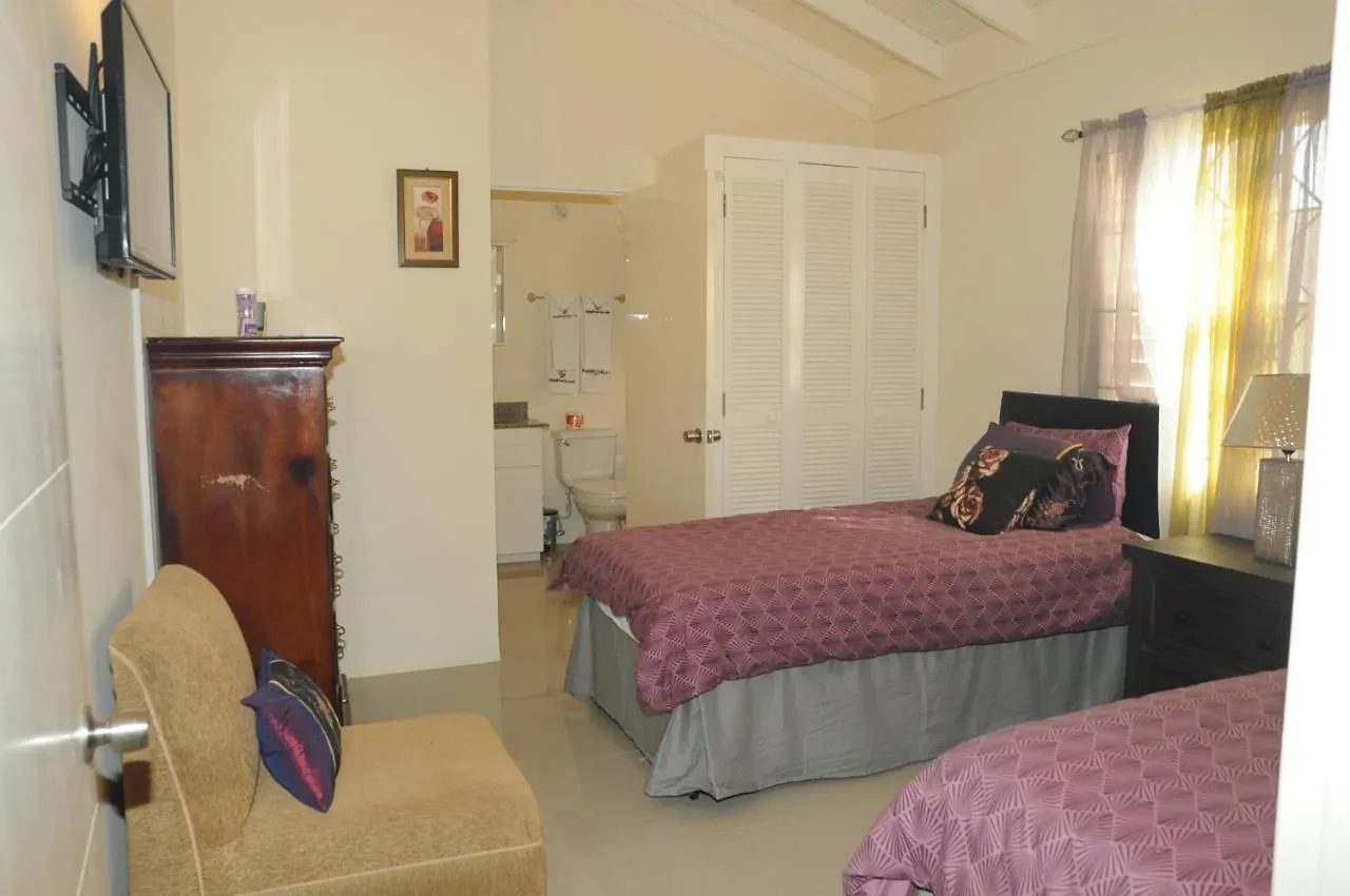 Ochi Rios Drax Hall 3 Bed Sleeps 7 Exquisitely Fully Furnished Accommodations 奥乔里奥斯